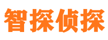 安乡市私家侦探